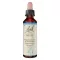 BACHBLÜTEN Gotas de faia, 20 ml