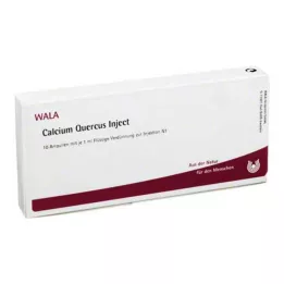 CALCIUM QUERCUS Injetar ampolas, 10X1 ml