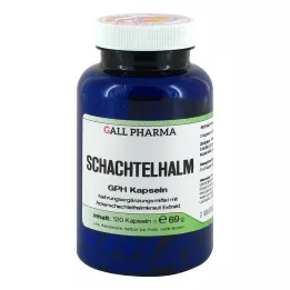 SCHACHTELHALM CÁPSULAS, 120 unidades