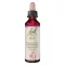 BACHBLÜTEN Gotas de pinho, 20 ml