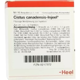 CISTUS CANADENSIS INJEEL Ampolas, 10 unidades