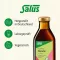 FLORADIX com solução oral de ferro, 250 ml