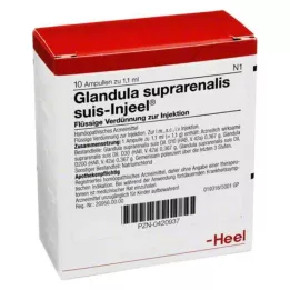 GLANDULA SUPRARENALIS ampolas suis Injeel, 10 unidades