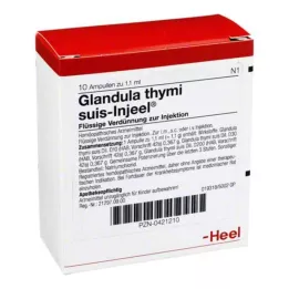 GLANDULA THYMI ampolas suis Injeel, 10 unidades