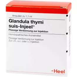 GLANDULA THYMI ampolas suis Injeel, 100 unidades