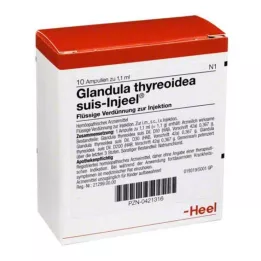 GLANDULA THYREOIDEA ampolas suis Injeel, 10 unidades