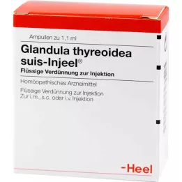 GLANDULA THYREOIDEA ampolas suis Injeel, 100 unidades