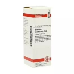 BOTHROPS lanceolatus D 60 Diluição, 20 ml