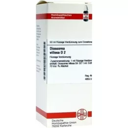 DIOSCOREA VILLOSA Diluição D 2, 50 ml
