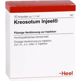 KREOSOTUM INJEEL Ampolas, 10 unidades