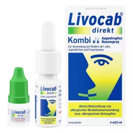 LIVOCAB combinação direta 4 ml colírio + 5 ml spray nasal, 1 pacote