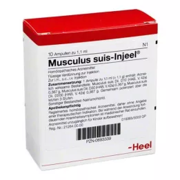 MUSCULUS SUIS Ampolas Injeel, 10 unidades