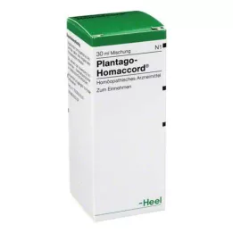 PLANTAGO HOMACCORD Gotas, 30 ml