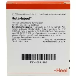 RUTA INJEEL Ampolas, 10 unidades