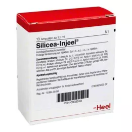 SILICEA INJEEL Ampolas, 10 unidades