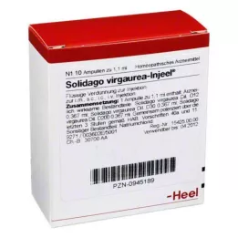SOLIDAGO VIRGAUREA INJEEL Ampolas, 10 unidades