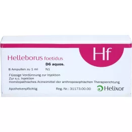 HELLEBORUS FOETIDUS aquoso. D 6 ampolas, 8X1 ml