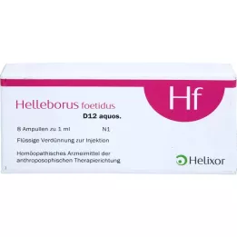 HELLEBORUS FOETIDUS aquoso. D 12 ampolas, 8X1 ml