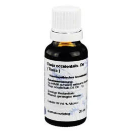 THUJA Diluição D 6, 20 ml