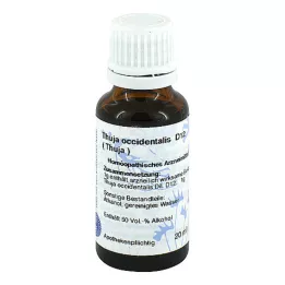 THUJA Diluição D 12, 20 ml