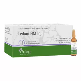 LEDUM HM Ampolas de injeção, 50 unidades