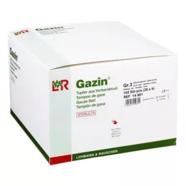 GAZIN Cotonete ameixa estéril 2+2 protetor r.o.RK, 100 unid
