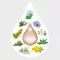 AMARA Diluição de gotas, 50 ml