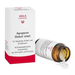 AGROPYRON Glóbulos velati, 20 g