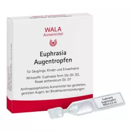 EUPHRASIA COLÍRIO, 5X0,5 ml