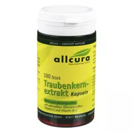 TRAUBENKERNEXTRAKT cápsulas, 100 unidades