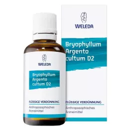 BRYOPHYLLUM ARGENTO Cultum D 2 Diluição, 50 ml