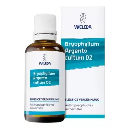BRYOPHYLLUM ARGENTO Cultum D 3 Diluição, 50 ml