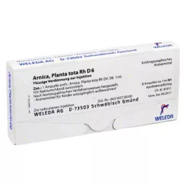 ARNICA PLANTA ampolas tota Rh D 6, 8X1 ml
