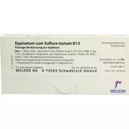 EQUISETUM CUM Ampolas de enxofre tostum D 15, 8X1 ml