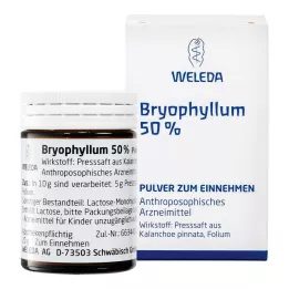 BRYOPHYLLUM Pó 50% para uso oral, 50 g