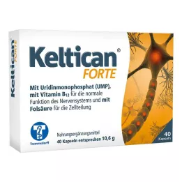 KELTICAN cápsulas fortes, 40 unidades
