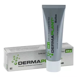 DERMAPLANT Pomada, 25 g