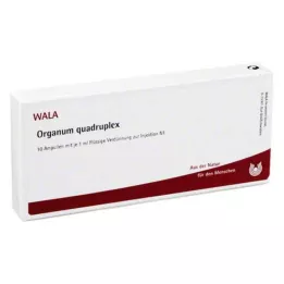 ORGANUM ampolas quadruplex, 10X1 ml