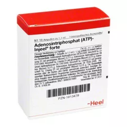 ATP Ampolas Injeel forte, 10 unid