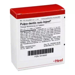 PULPA DENTIS SUIS Ampolas Injeel, 10 unidades