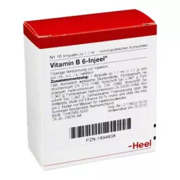 VITAMIN B6 INJEEL ampolas, 10 unidades