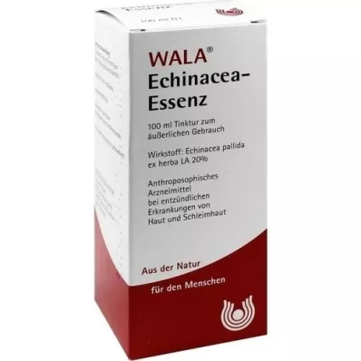 ECHINACEA ESSÊNCIA, 100 ml
