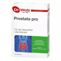 PROSTATA PRO Cápsulas Dr.Wolz, 2X20 unidades