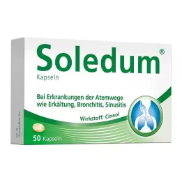 SOLEDUM Cápsulas gastrorresistentes de 100 mg, 50 unidades
