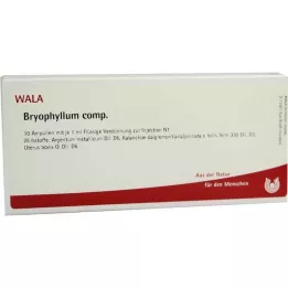 BRYOPHYLLUM COMP.Ampolas, 10X1 ml