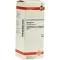 CONIUM Diluição D4, 50 ml