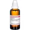 CONIUM Diluição D4, 50 ml