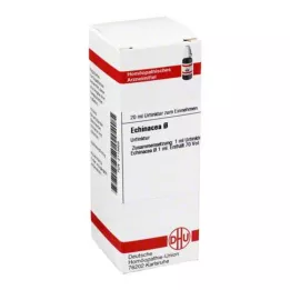 ECHINACEA HAB Tintura mãe, 20 ml