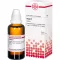 THUJA Tintura mãe, 50 ml