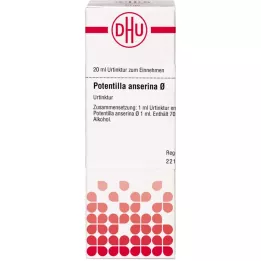 POTENTILLA ANSERINA Tintura mãe, 20 ml
